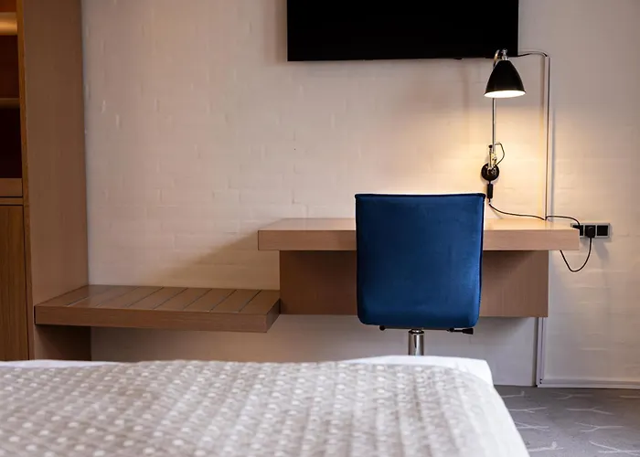 Frederik Vi's 4* אודנזה