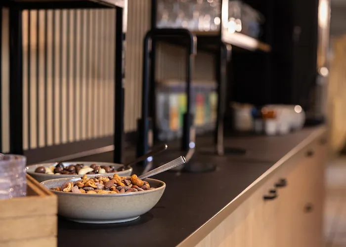 弗雷德里克六世酒店