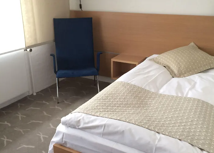 מלון Frederik Vi's