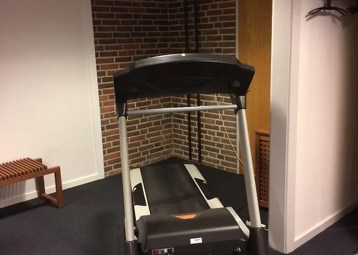 Frederik Vi's אודנזה