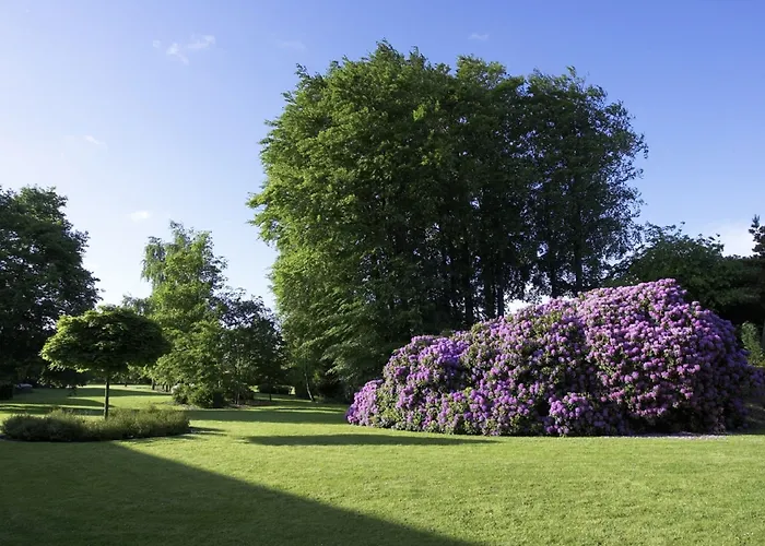 מלון Frederik Vi's