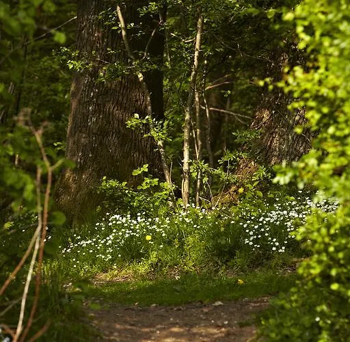 酒店 弗雷德里克六世酒店